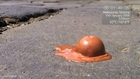 Australia's extreme heat melts chocolate in under 3 minutes