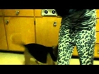 Dog must love madisonO__0