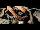 ZORAN POPOV - KRALJ DEBAKLA (Official music video) 2013