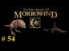 Let's Play Morrowind Part 54