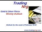 Silver And Gold Price Forecast for February 18-22 2013 by Trading NRG