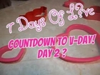 ♥♥♥ Second Day Of 7 Days Of L♥VE (DIY Ruffled Ombre Tree) ♥♥♥