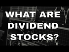 What Are Dividend Stocks | How To Invest In Dividend Stocks