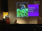 Biomimicry in the Built World - Consulting Nature as Model, Measure, and Mentor