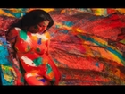 Veena Malik Sexy Body Painting Video