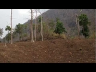 Deforestation on Thai-Burmese Border