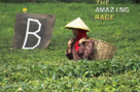 The Amazing Race - Switching - Season 23