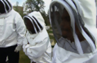 Former Inmates Become Beekeepers
