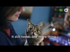 Lil BUB's Big SHOW Episode 4 featuring KELLEY DEAL