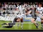 2013 Sale Sharks vs Newcastle Falcons Live Rugby