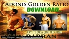 adonis golden ratio training program review