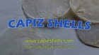 Philippines Capiz Shells Natural Product Manufacturer and Exporter