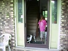 Dumb Dog Confused by an open door! ahahah