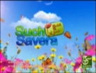 such savera 27-05-2013 part 2 such tv
